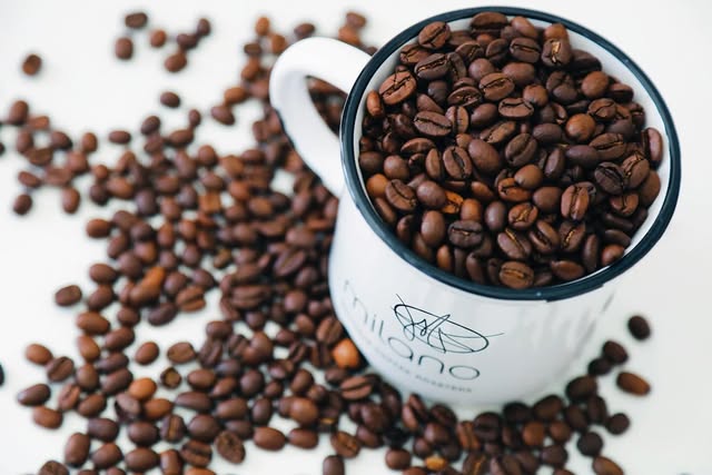Roasted coffee beans around a Milano mug